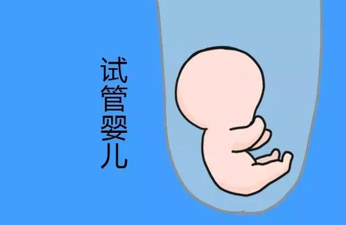 关于{ k1=g1 }